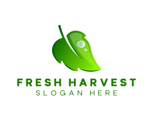 Fresh Leaf Droplet logo design