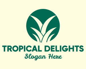 Pineapple Leaves Farm logo