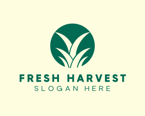 Pineapple Leaves Farm logo design