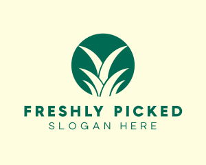 Pineapple Leaves Farm logo design