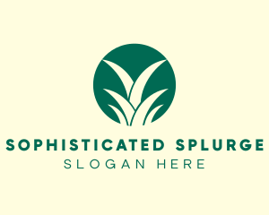 Pineapple Leaves Farm logo design