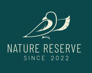 Avian Nature Foundation logo design