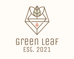 Leaf Herb Essence Oil logo design