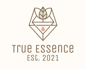 Leaf Herb Essence Oil logo design