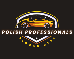 Car Polish Detailing logo