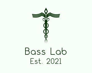 Medical Doctor Caduceus logo design