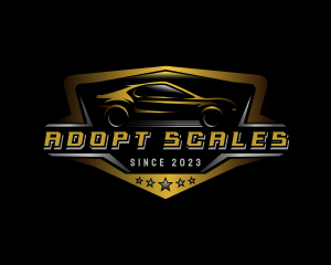 Automotive Car Detailing logo design