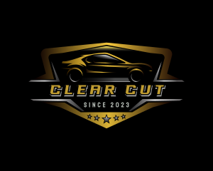 Automotive Car Detailing logo design