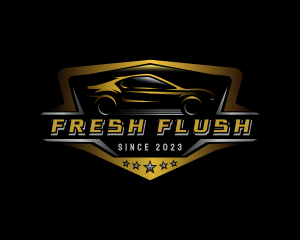 Automotive Car Detailing logo design