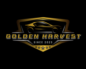 Automotive Car Detailing logo design