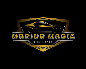 Automotive Car Detailing logo design