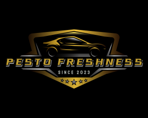 Automotive Car Detailing logo design