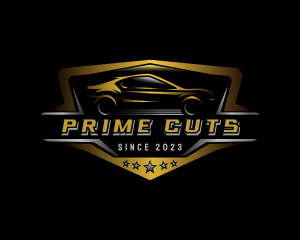 Automotive Car Detailing logo design