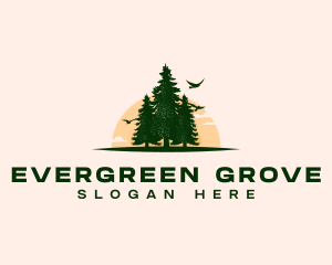 Pine Tree Forest logo design