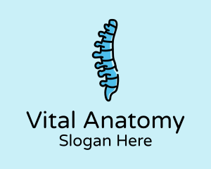 Spinal Cord Anatomy logo