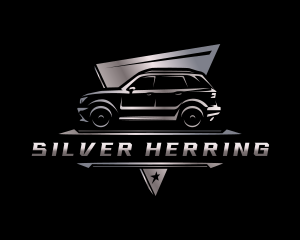 Car Automotive Detailing logo design