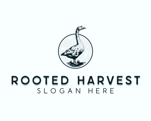 Duck Barn Animal logo design