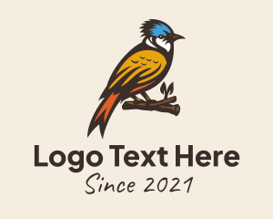 Colorful Kingfisher Bird logo