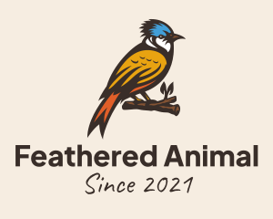 Colorful Kingfisher Bird logo