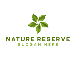 Sustainable Nature Leaf logo design