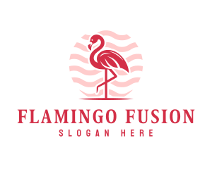 Flamingo Bird Aviary logo