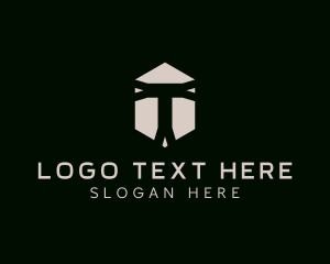 Professional Hexagon Business Letter T logo