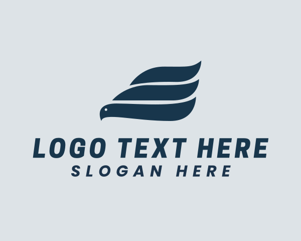 Airline Company logo example 1