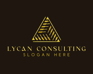 Triangle Finance Corporate logo design