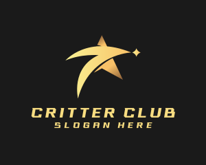 Premium Meteor Star logo design