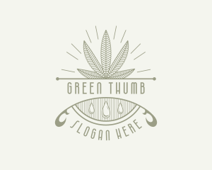 Weed Marijuana CBD logo design