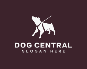 Pet Dog Walking logo design