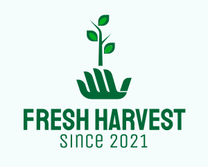 Hand Seedling  Plant  logo design