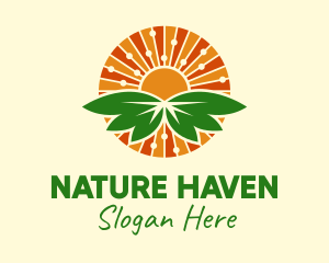 Nature Sun Leaves  logo design