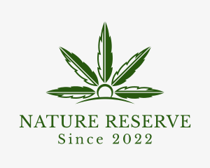 Natural Marijuana Plantation logo design