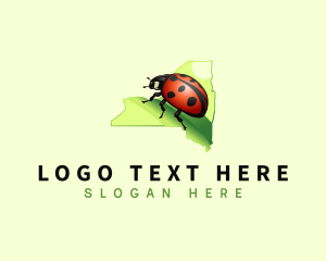 Ladybug New York Insect logo