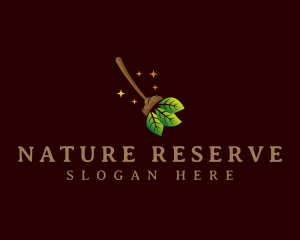 Leaf Nature Broom logo design