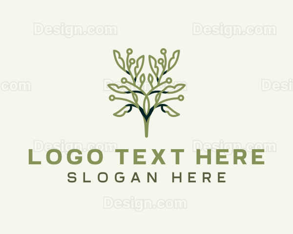 Natural Organic Leaves Logo