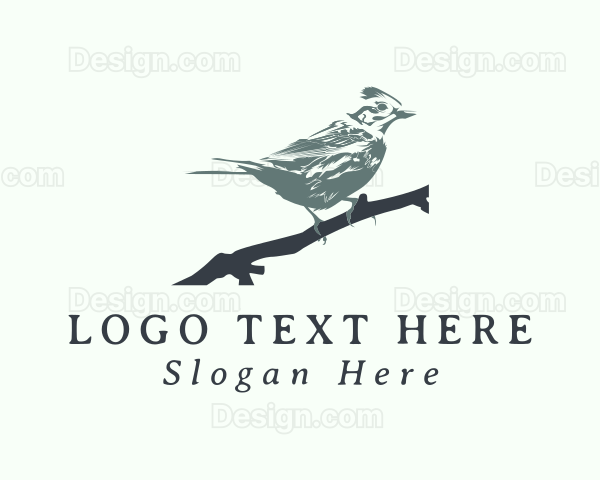 Swallow Bird Avian Logo
