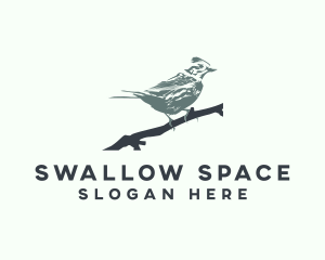 Swallow Bird Avian logo
