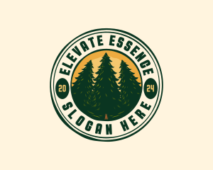 Pine Tree Forest Camp logo