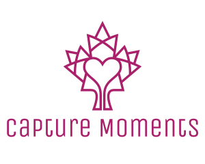 Mosaic Maple Leaf Heart Logo