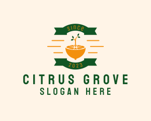 Citrus Lemon Banner logo design