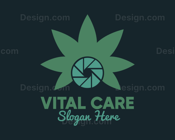 Cannabis Camera Aperture Logo