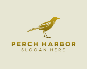 Crow Bird Watcher logo