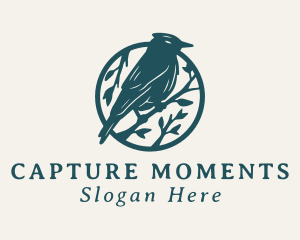 Perched Sparrow Aviary logo