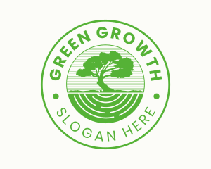 Old Green Tree  Emblem logo design