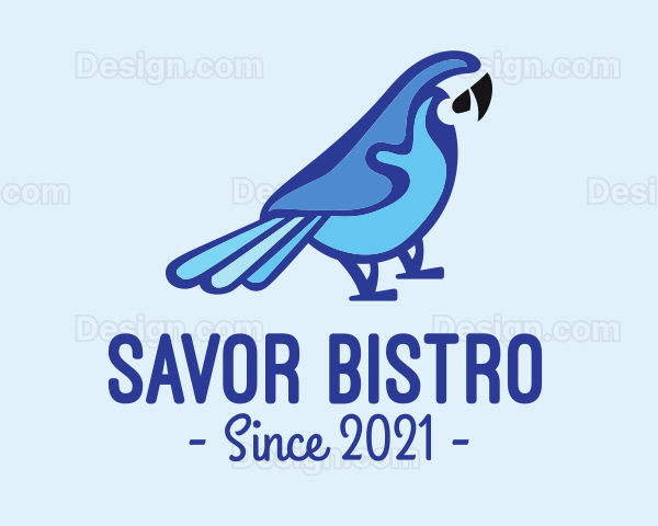 Blue Parrot Animal Rescue Logo