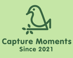 Monoline Eco Bird logo