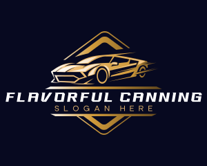 Sports Car Detailing logo design