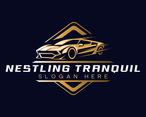 Sports Car Detailing logo design